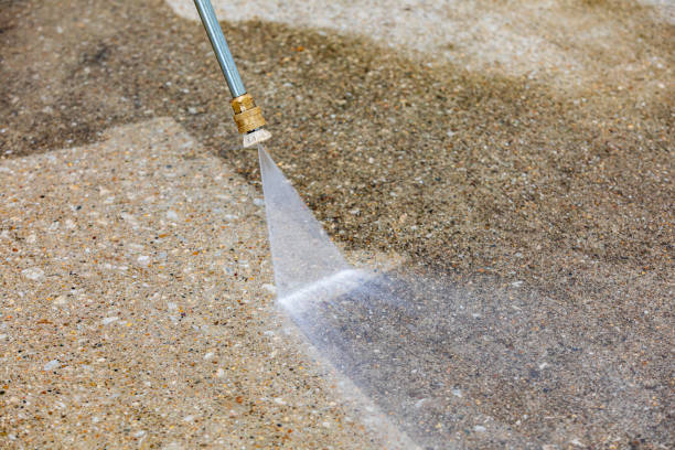 Best Animal Enclosure Cleaning  in Waretown, NJ
